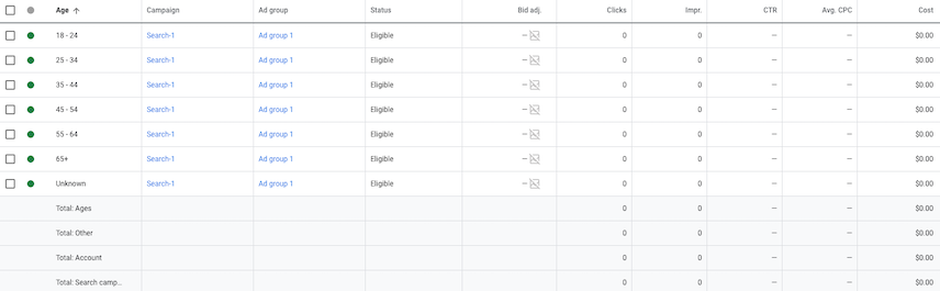 Écran de l'âge dans l'UI Google Ads