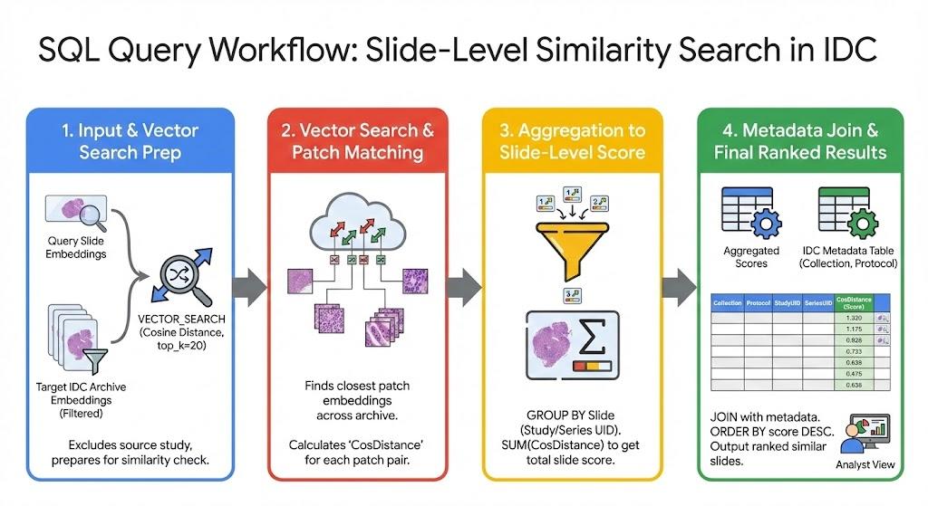 Overview of method to perform whole-slide image
search.