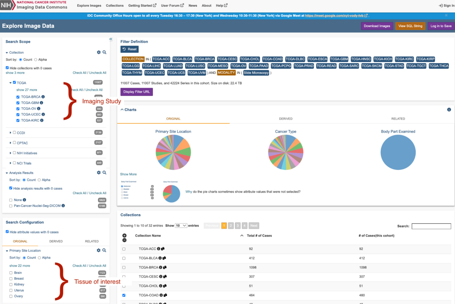 Illustration of Imaging Data Commons website