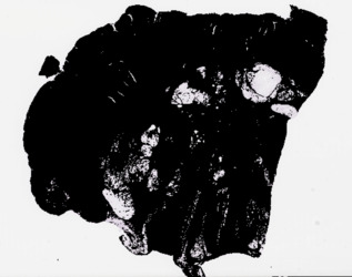 mask illustrating where patches were sampled for embedding
generation.
