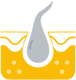 Derm Foundation Logo