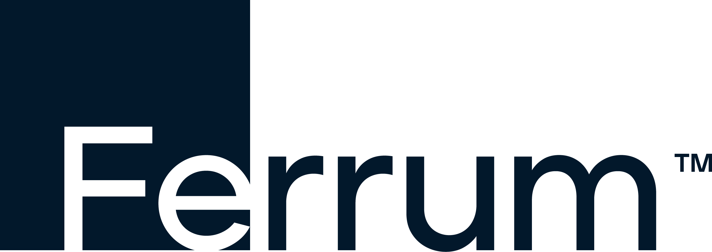 Ferrum Health Logo