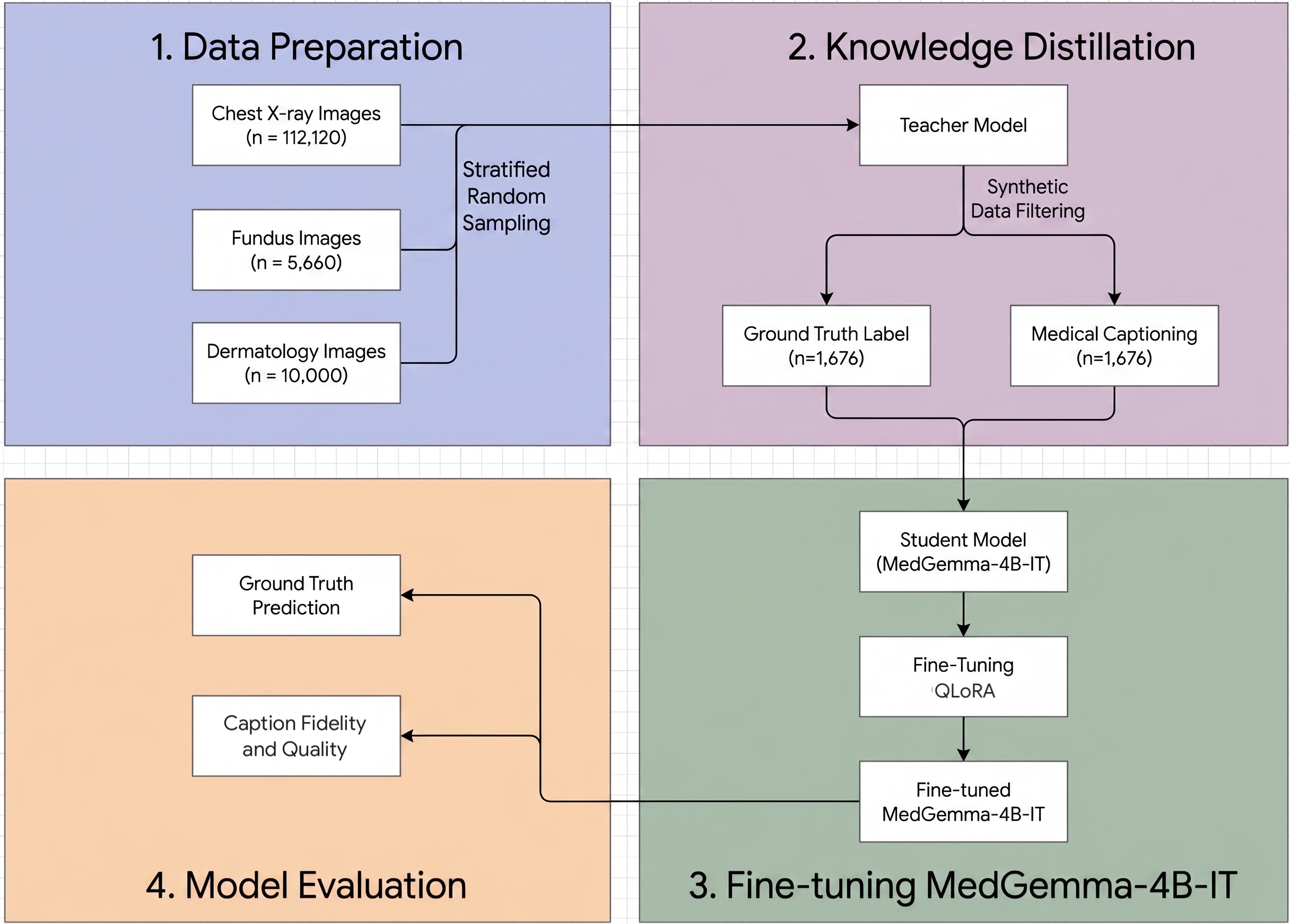 The systematic framework developed to fine-tune and evaluate the MedGemma
model
