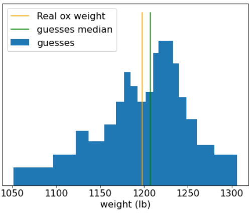 image_tooltip Histogram z poszczególnymi szacunkami, pokazujący, że większość z nich skupia się wokół rzeczywistej wagi byka.