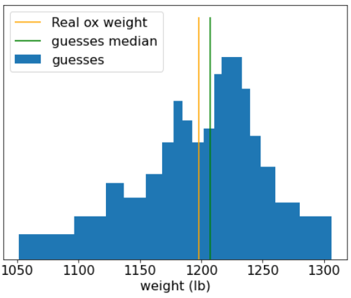 Biểu đồ của các phỏng đoán riêng lẻ, cho thấy hầu hết các phỏng đoán tập trung xung quanh trọng lượng thực của bò.