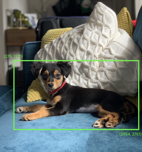 ソファに座っている犬の写真。左上隅の座標（275、1271）と右下座標（2954、2761）を持つ緑色の境界ボックスが犬の体を囲んでいます。