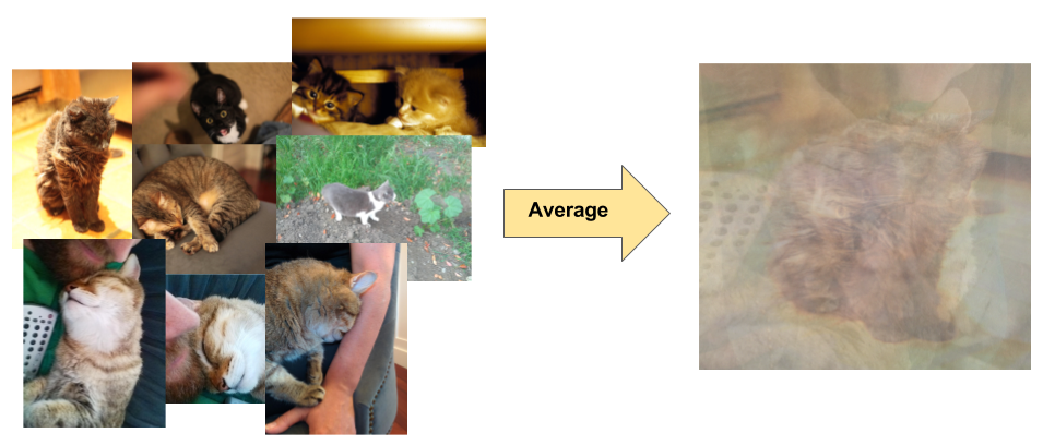 अलग-अलग बैकग्राउंड और रोशनी के माहौल के साथ, बिल्लियों को दिखाने वाली फ़ोटो का कोलाज, जिसमें अलग-अलग बैकग्राउंड और रोशनी हैं. साथ ही, उन इमेज से मिला औसत पिक्सल डेटा भी शामिल है