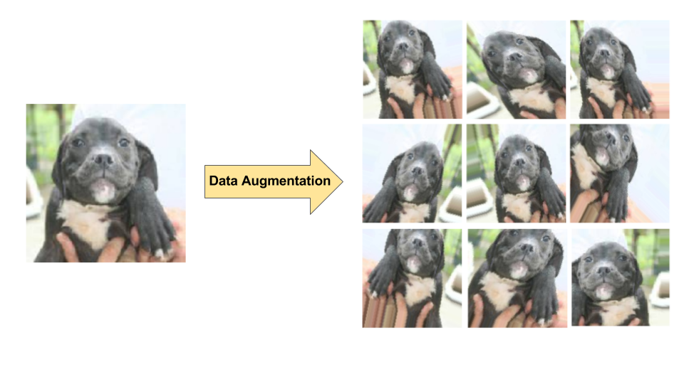 Diagram penambahan data pada satu gambar anjing, yang menghasilkan 9 gambar baru melalui transformasi acak