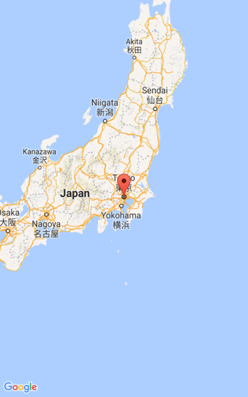 Capture d'écran d'une carte au niveau de zoom 5