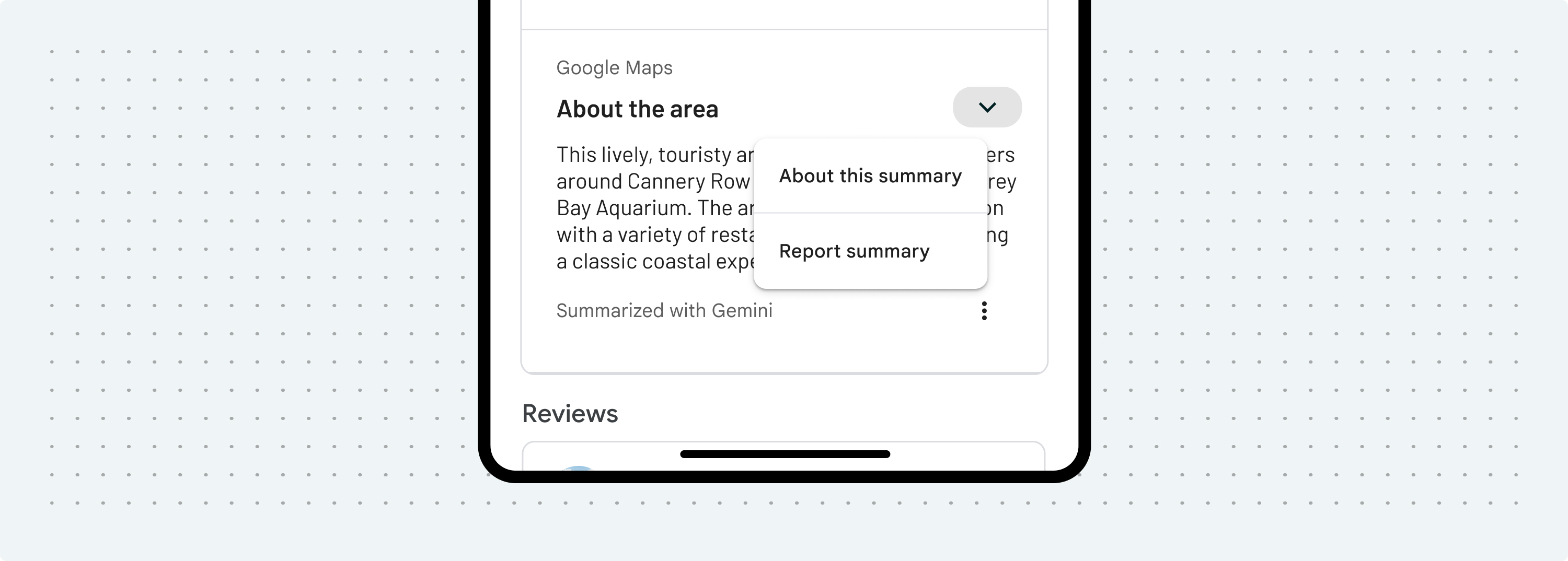 Mention pour les résumés de lieux et de zones