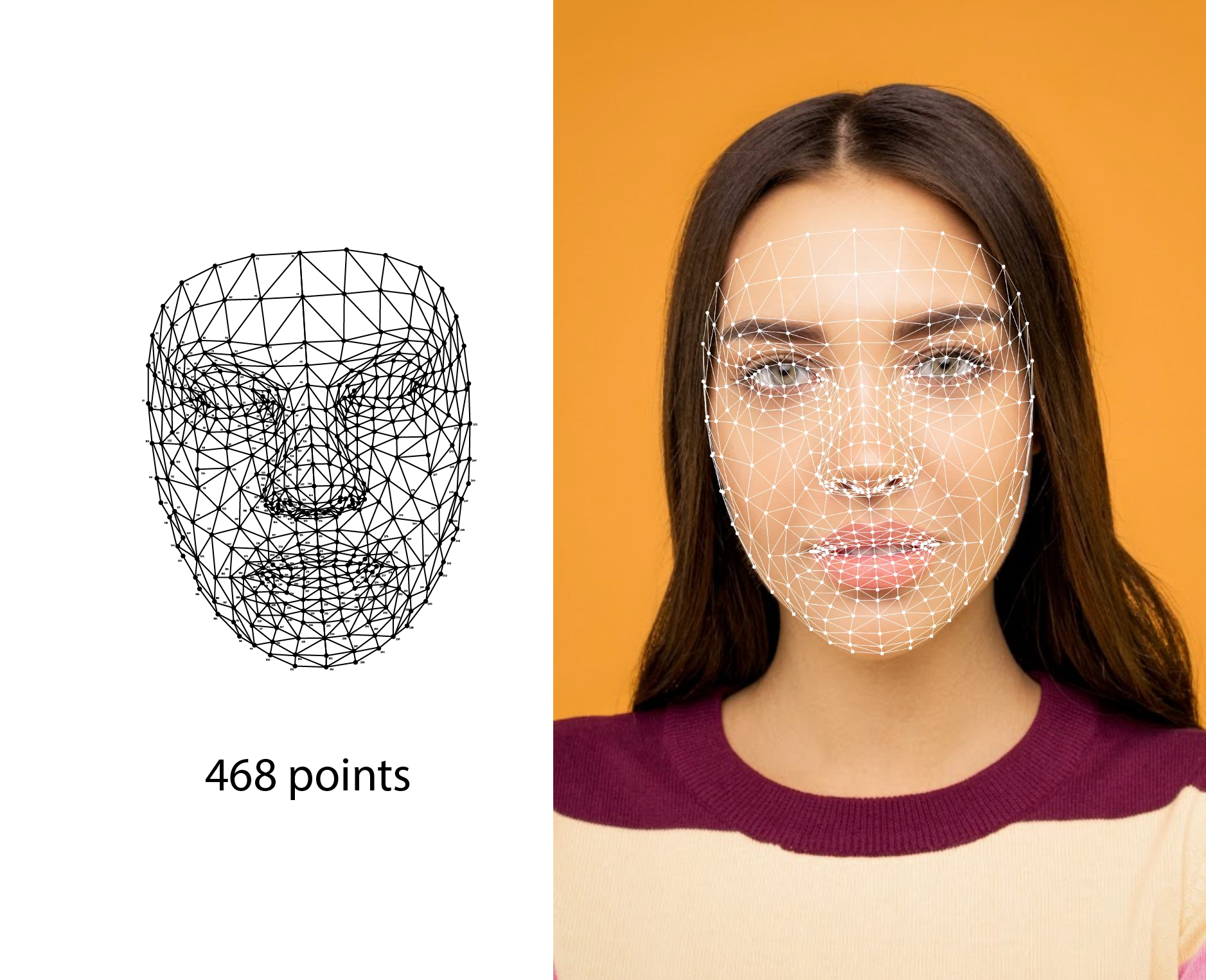 Face mesh detection, ML Kit