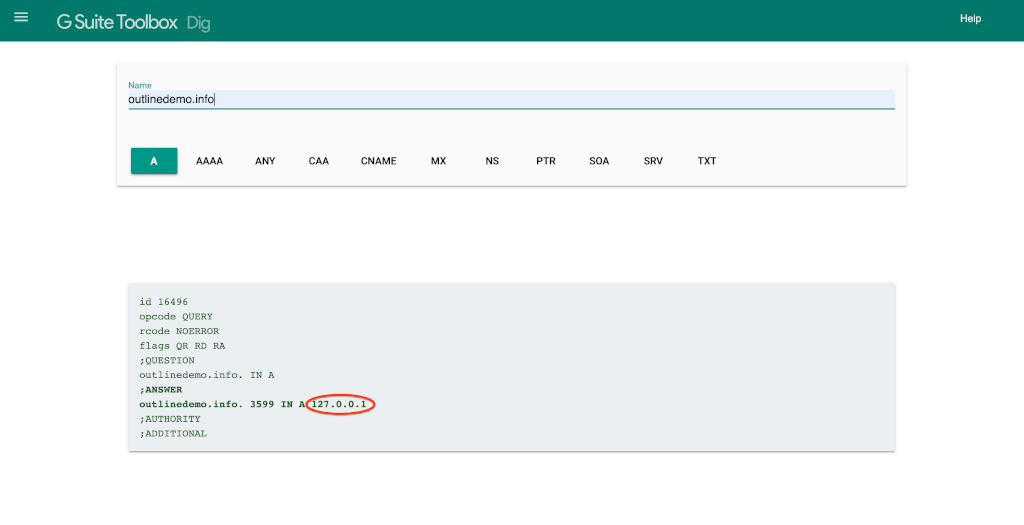 Search your domain on the Google DNS tool