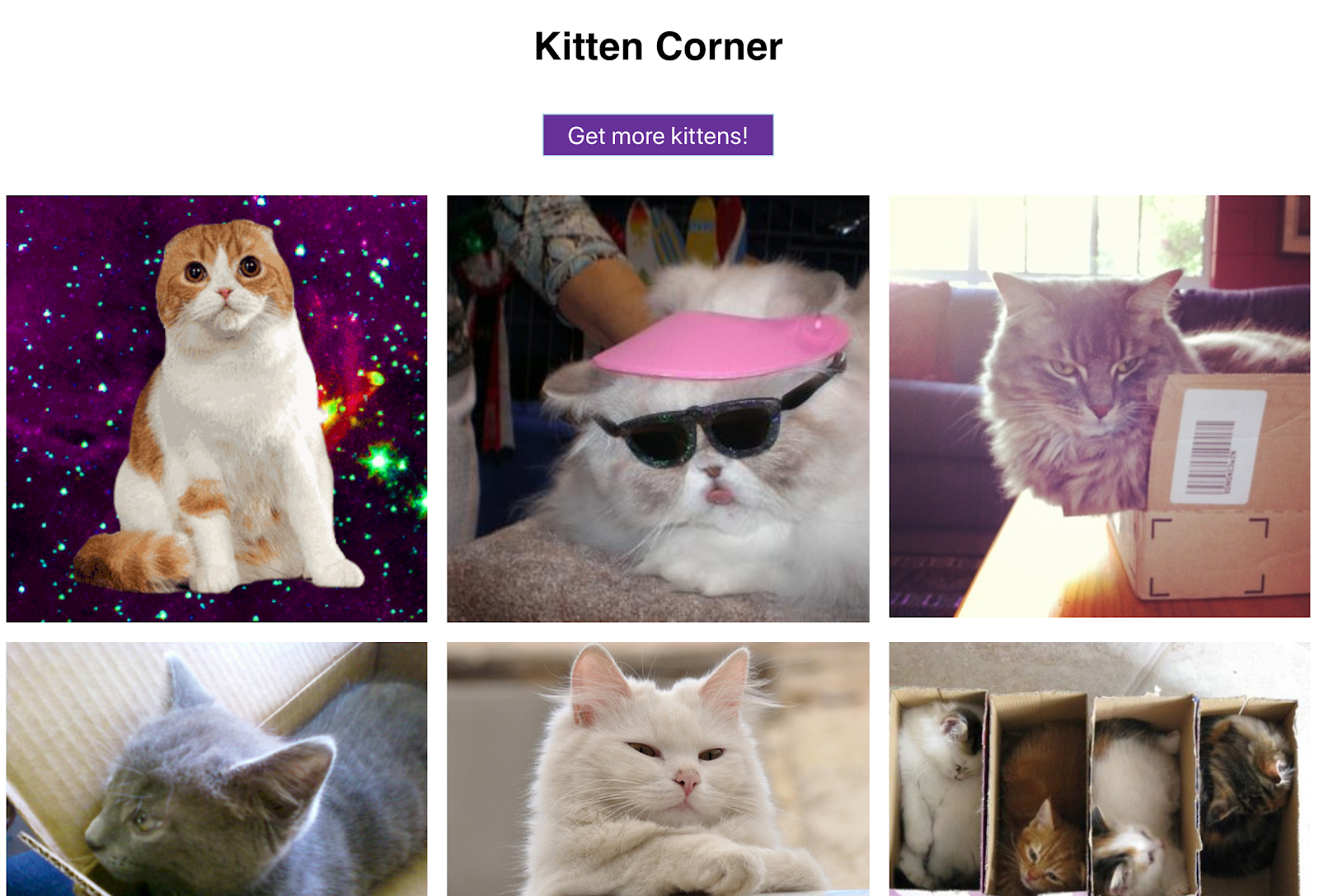 귀여운 고양이 이미지를 그리드 형식으로 표시하고 버튼도 한 개 있습니다. 그야말로 완벽한 웹 앱이죠!