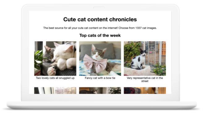 A website that shows 6 different images of cats. The title of the website
is Cute cat content chronicles.