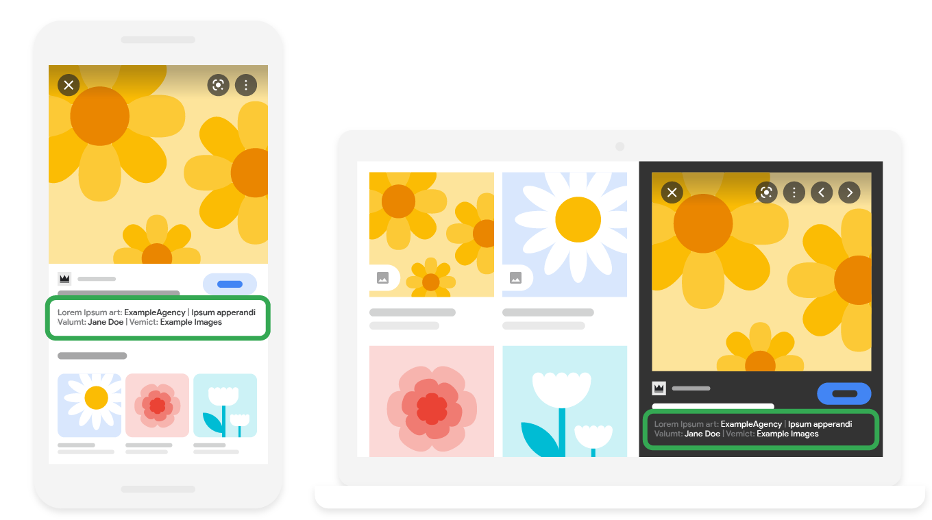 مثال على البيانات الوصفية للصور في "صور بحث Google"