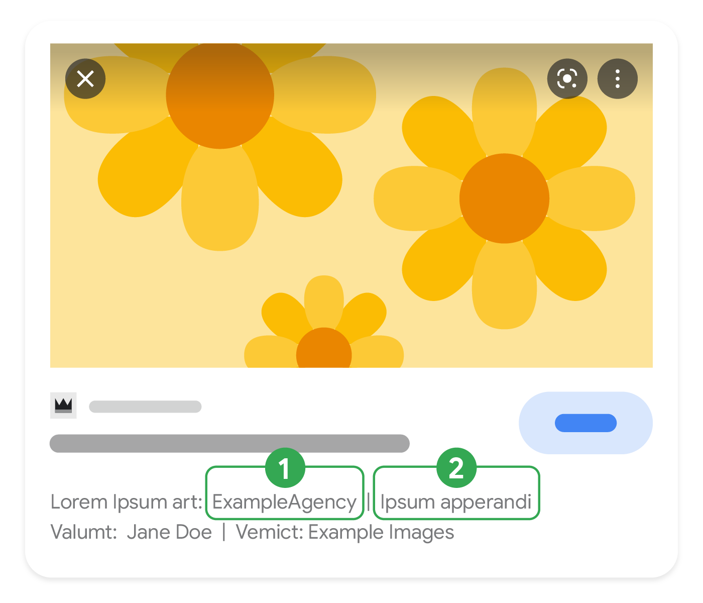 Texto destacado que muestra qué partes de los metadatos de la licencia pueden aparecer en Google Imágenes