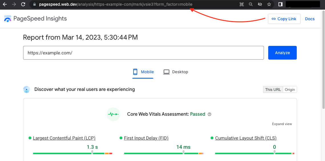 PageSpeed ​​Insights UI-তে শেয়ার করা যায় এমন লিঙ্কগুলির স্ক্রিনশট।