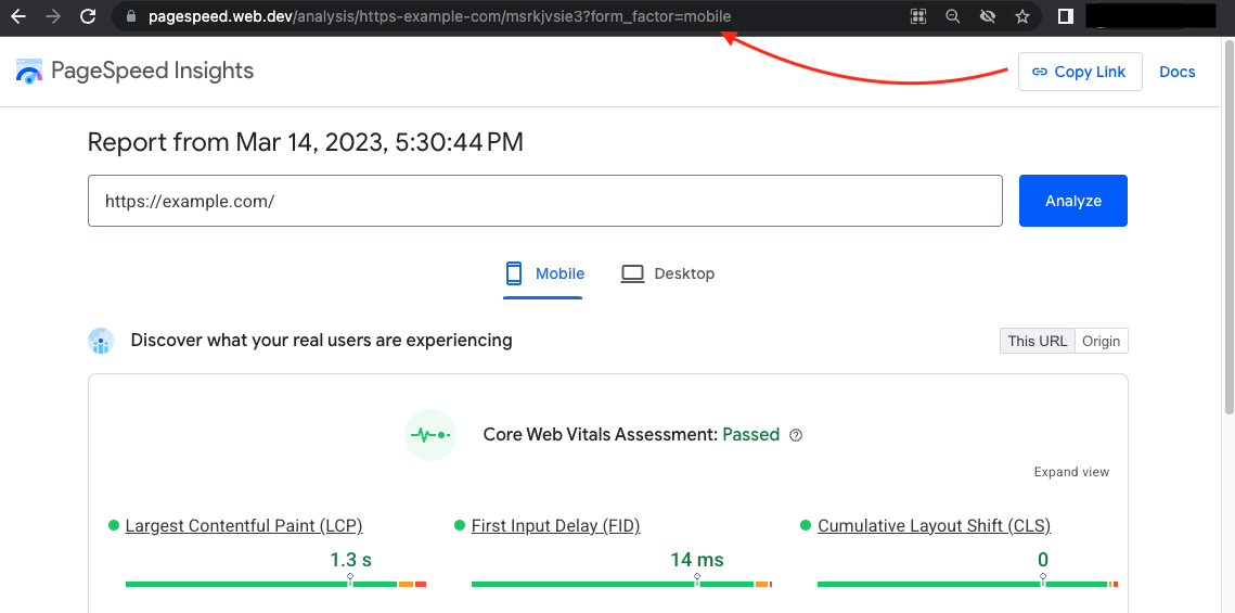 Screenshot link yang dapat dibagikan di UI PageSpeed Insights.