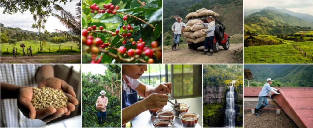 Best in class example - coffee tour