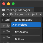 Screenshot of Unity Package Manager Window with the "In Project" dropdown item selected