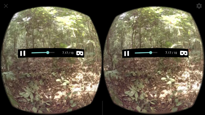 Video360 Sample | Google VR | Google for Developers