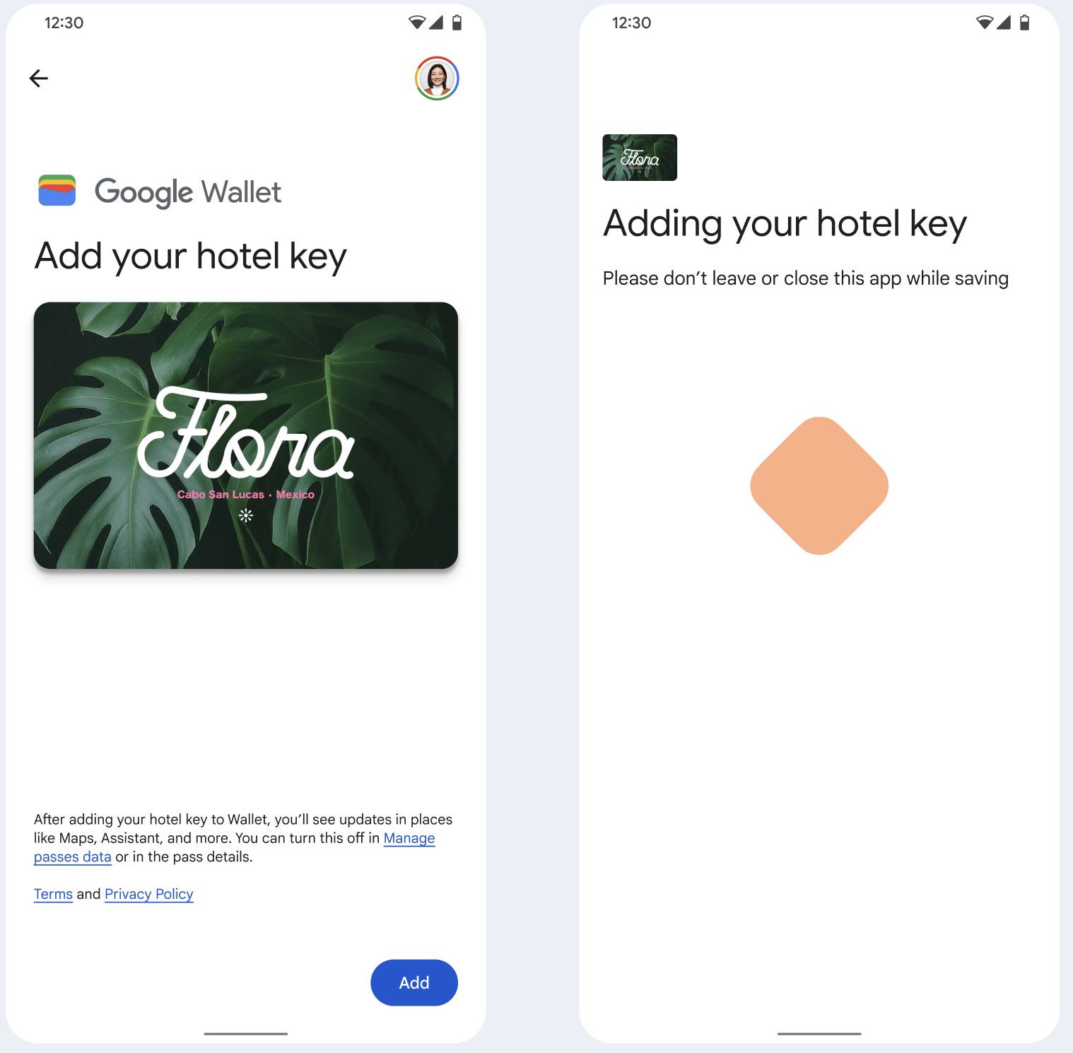 Nella prima schermata, l'app si connette a Google Wallet. Nella
       seconda schermata, l'utente accetta i Termini di servizio e continua.