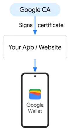 Google CA가 인증서에 서명하는 직접 신뢰 당사자 1:1 모델