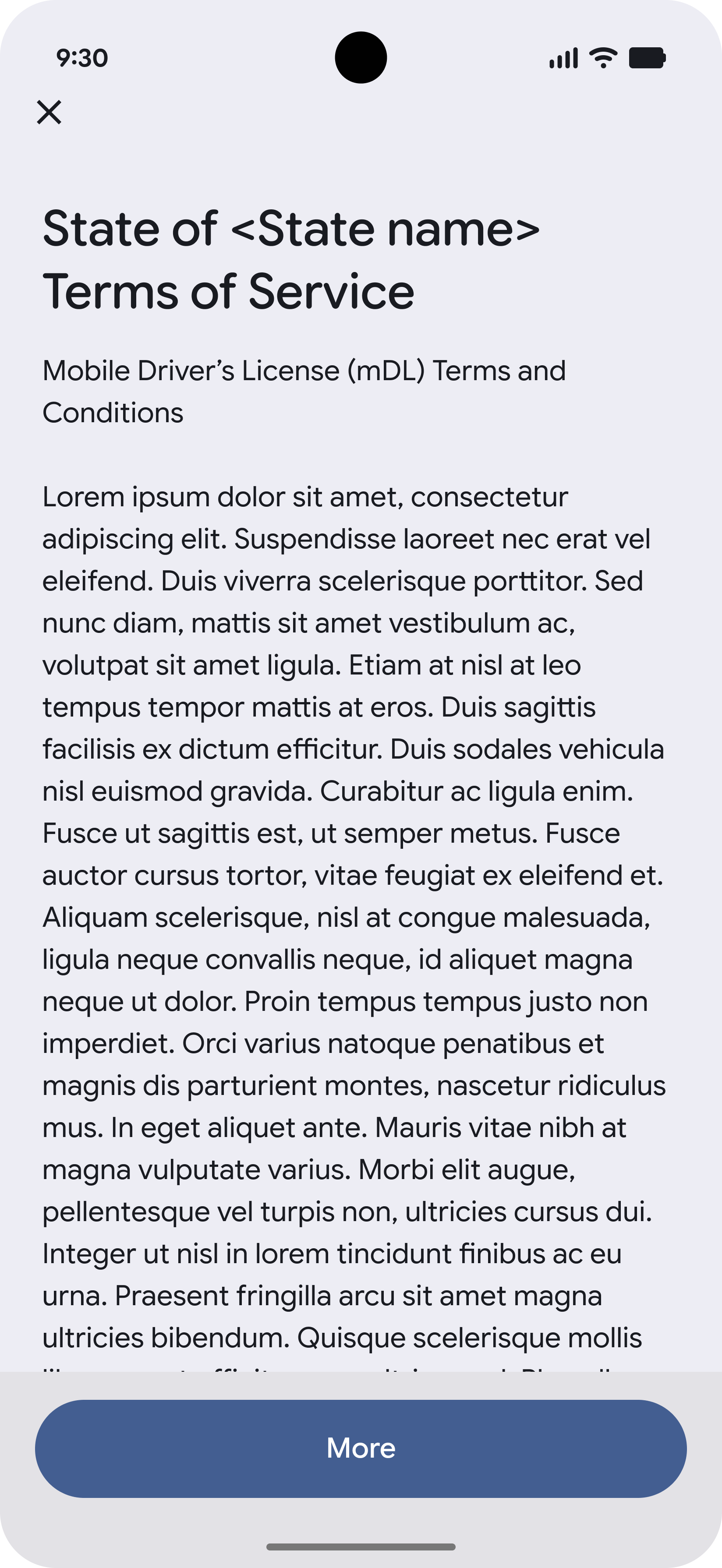 Issuer-specific terms of service.