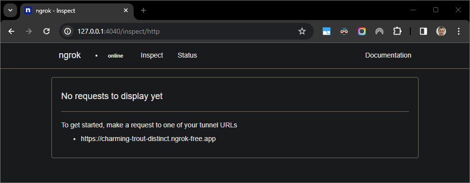 Giao diện web do ứng dụng "ngrok" lưu trữ cho thấy không có yêu cầu HTTP nào
