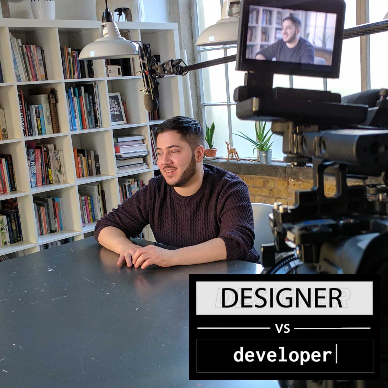 Designer Vs Developer