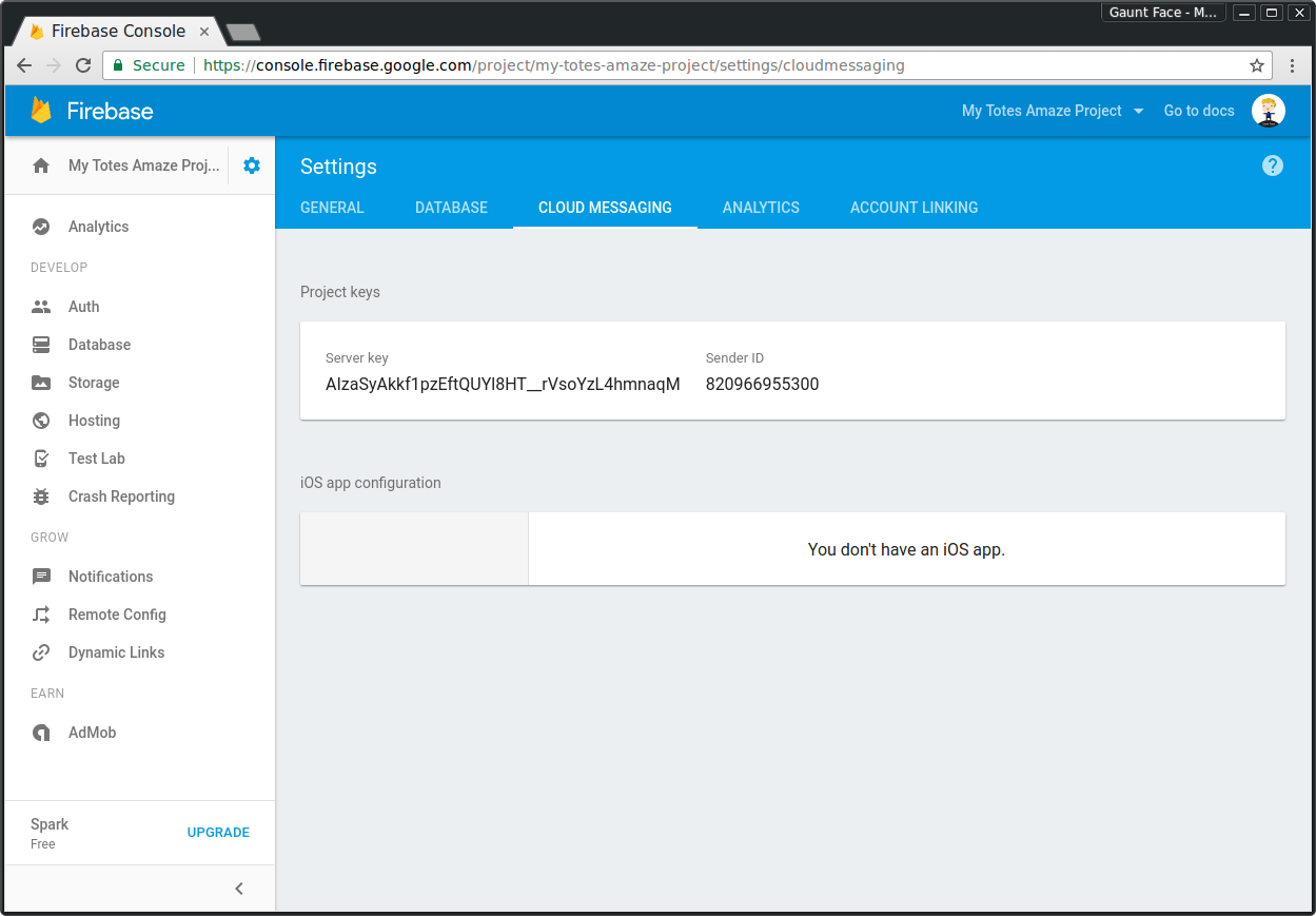 Firebase プロジェクトの Cloud Messaging メニュー