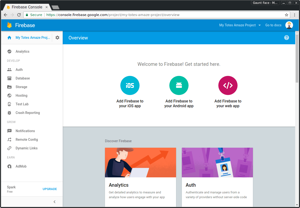 Firebase-Projekt-Startseite